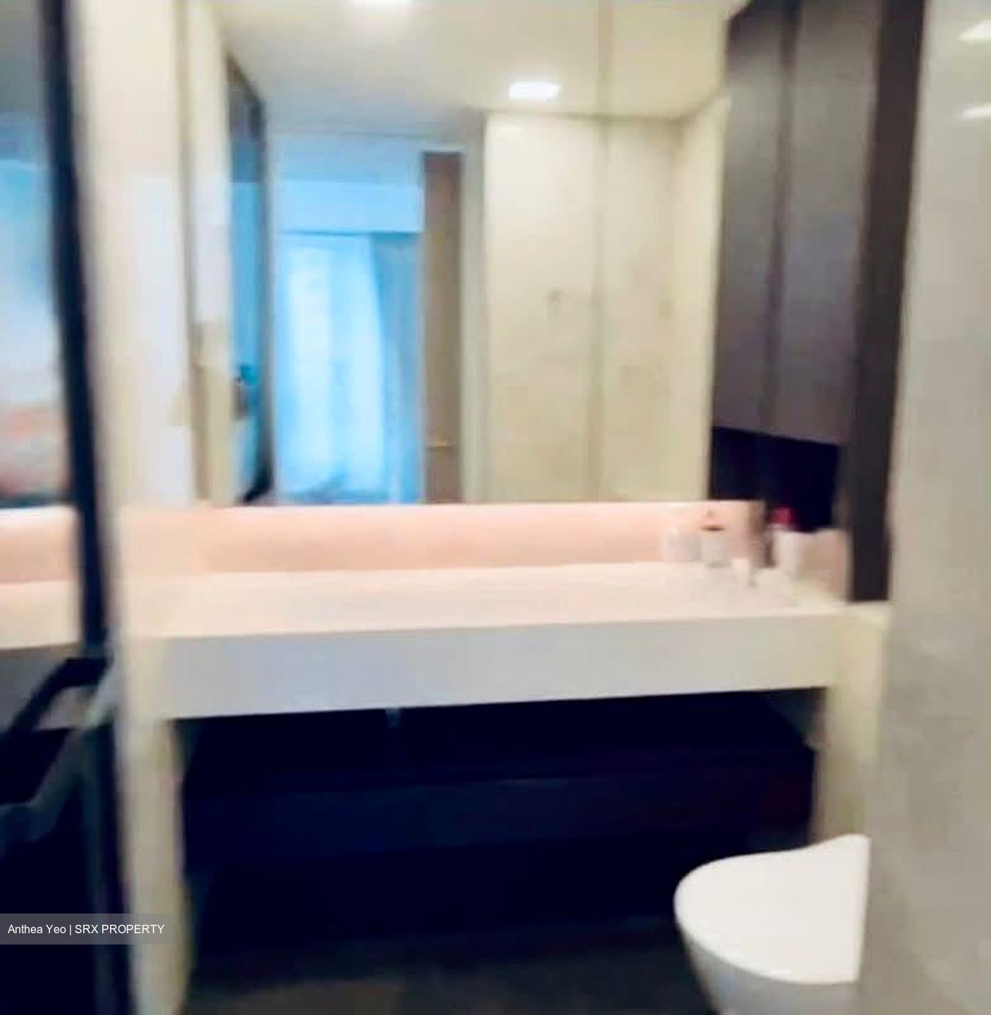 Amber Park (D15), Condominium #576210151